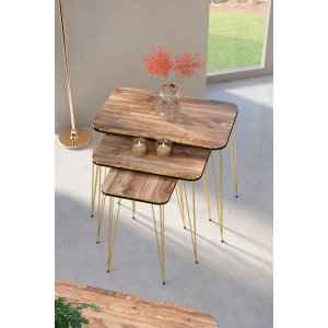USLUCAN ALIŞVERİŞ Zigon Sehpa Kare Çift Gold Ceviz Tel 1031