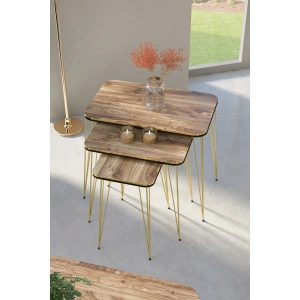 USLUCAN ALIŞVERİŞ Zigon Sehpa Kr Çift Gold Ceviz Tel  1029