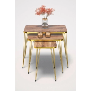 USLUCAN ALIŞVERİŞ Zigon Sehpa Kr Gold Ceviz Tel