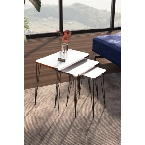 USLUCAN ALIŞVERİŞ Zigon Sehpa Kr Gümüş Beyaz Tel Siyah Ayak