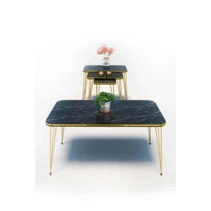USLUCAN ALIŞVERİŞ Zigon Sehpa Kr Ve Orta Sehpa Kr Set Çift Gold Bendir Tel 1113