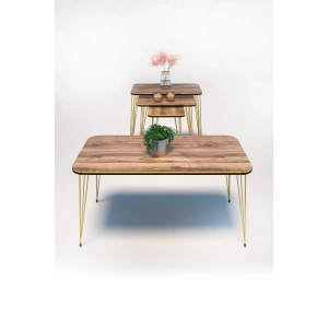 USLUCAN ALIŞVERİŞ Zigon Sehpa Kr Ve Orta Sehpa Kr Set Çift Gold Ceviz Tel 1110