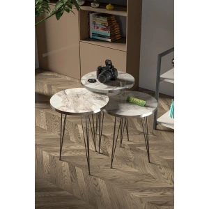 USLUCAN ALIŞVERİŞ Zigon Sehpa Siyah Tel Ayak Gümüş Efes