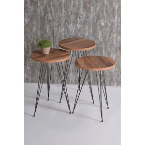 USLUCAN ALIŞVERİŞ Zigon Sehpa Tel Ayak Ceviz 1099