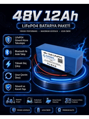 48V 12Ah Akıllı Bluetooth BMSli LiFePO4 Elektrikli Motosiklet Aküsü