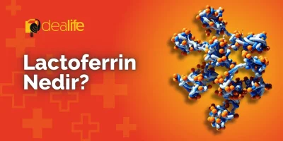 Lactoferrin Nedir?