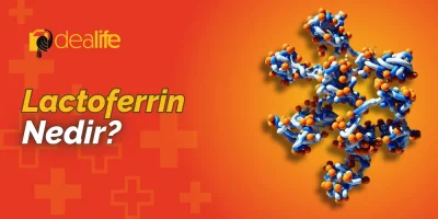 Lactoferrin Nedir?