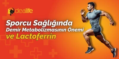 Sporcu Sağlığında Demir Metabolizmasının Önemi ve Laktoferrin