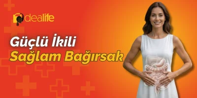 Laktoferrin ve Glutamin: Bağırsak Sağlığında Güçlü Bir İkili