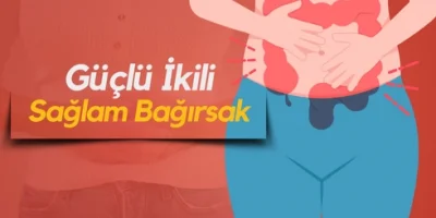Laktoferrin ve Glutamin: Bağırsak Sağlığında Güçlü Bir İkili