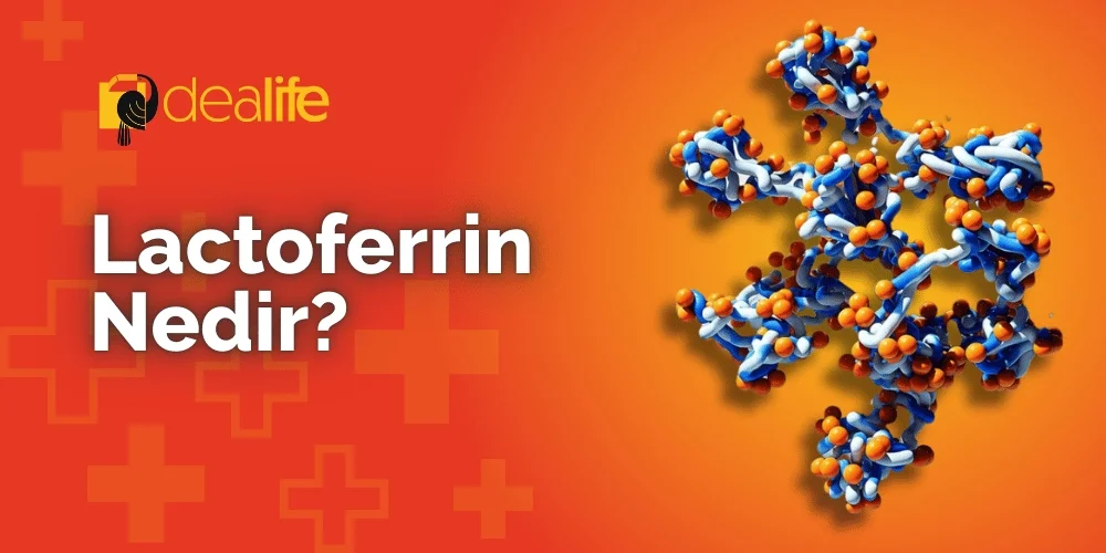 Lactoferrin Nedir?