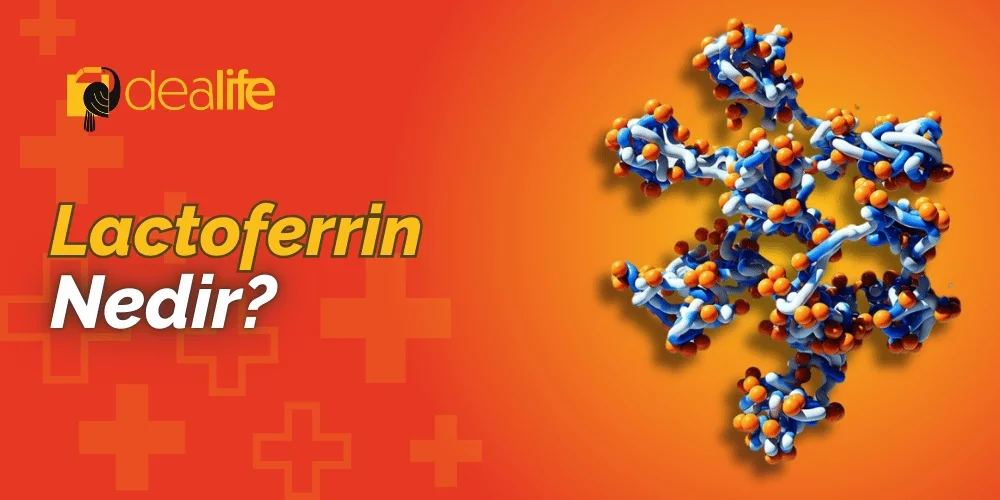 Lactoferrin Nedir?