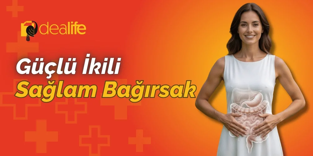Laktoferrin ve Glutamin: Bağırsak Sağlığında Güçlü Bir İkili