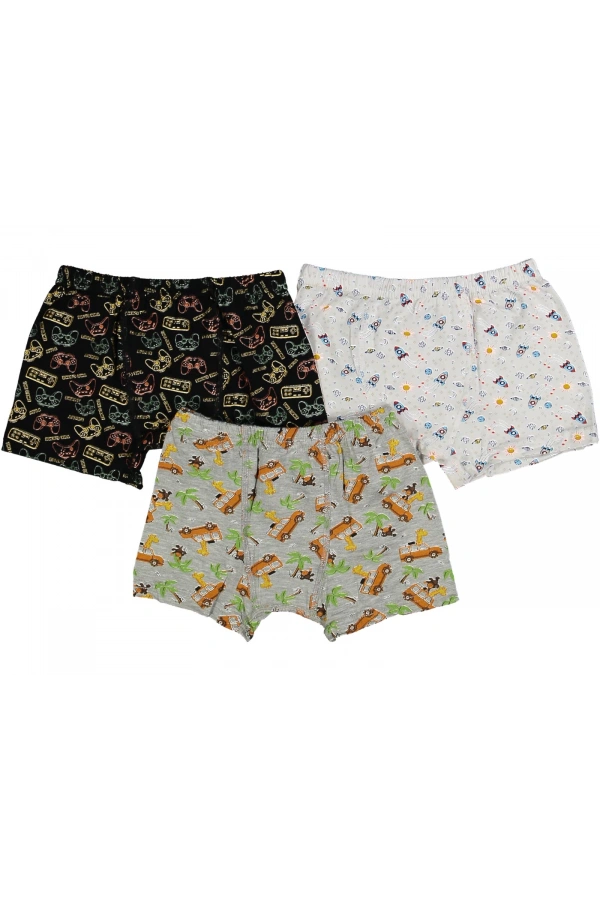 DESENLİ ERKEK BOXER