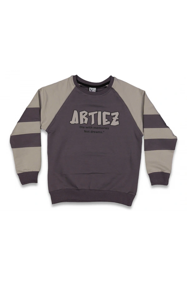 ARTIEZ BASKILI ERKEK SWEATSHIRT