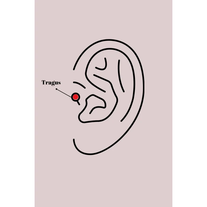 316l Çelik Gümüş Renk Zirkon Taşlı Tragus Piercing