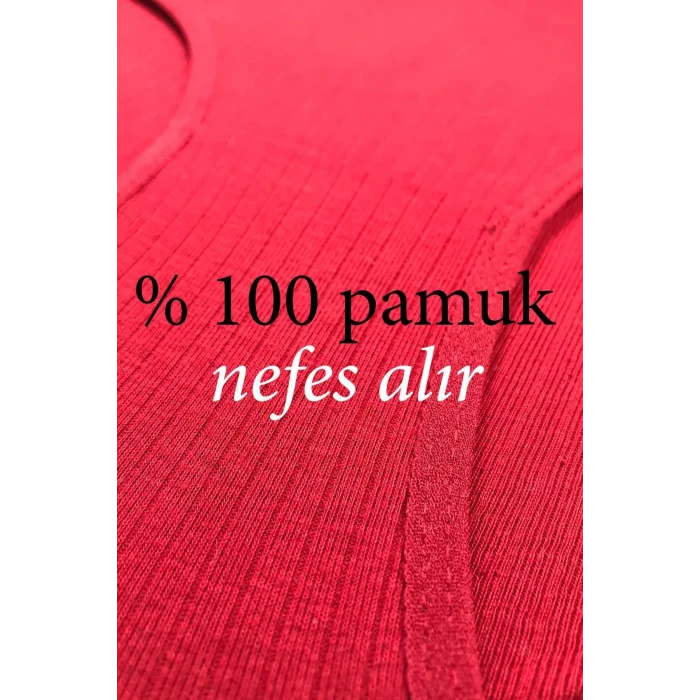 6 Adet Kadın Yüksek Bel Ribana Bato Külot S084