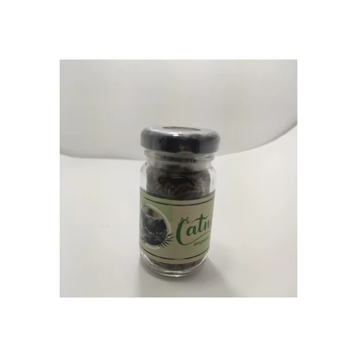 Catnip Doğal Kedi Otu - Kedi Nanesi
