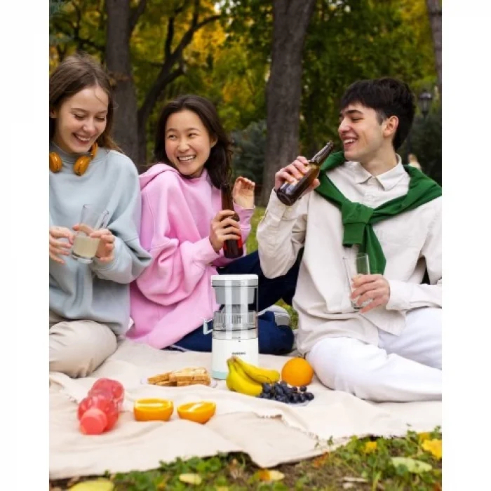 Çok Fonksiyonlu Meyve Sıkacağı Ev Tipi