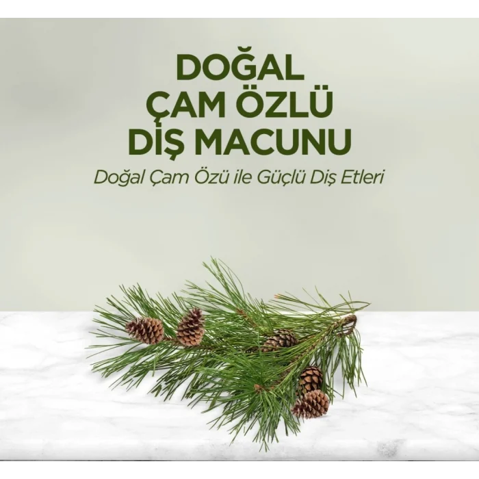 Doğal Diş Macunu 90 Gr Çam Özlü