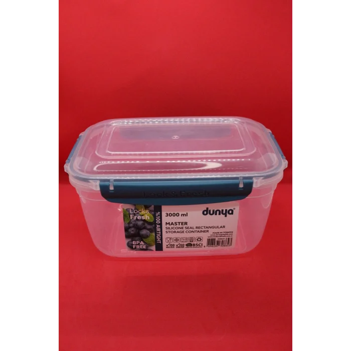 Dünya Pls Master Dikdörtgen Saklama Kabı