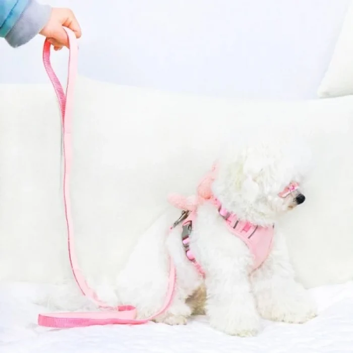 Peluş Ayıcıklı Göğüs Gezdirme Tasması Seti