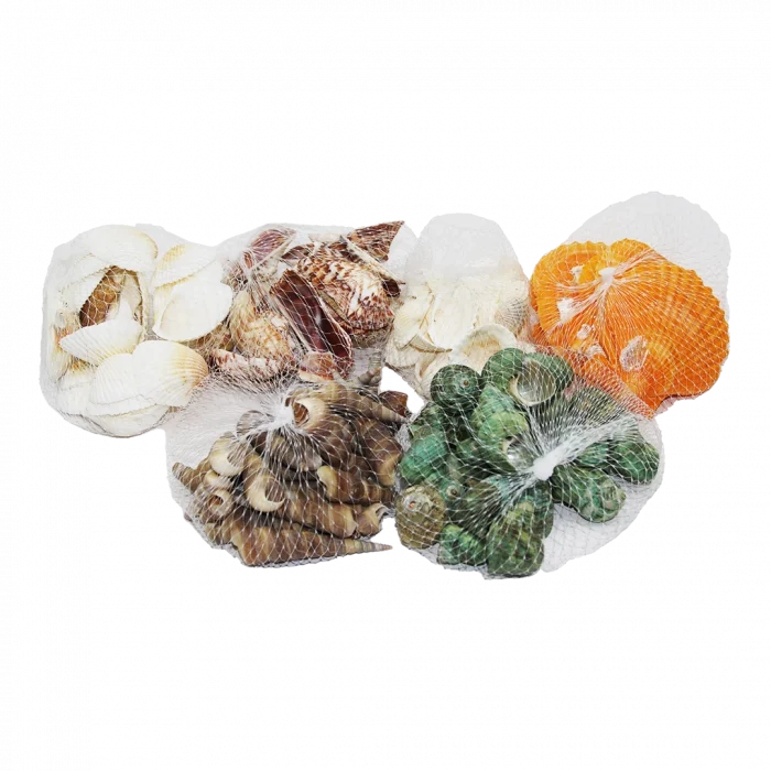 Fileli Midye Deniz Kabuk Vazo Taşı Renkli Mix