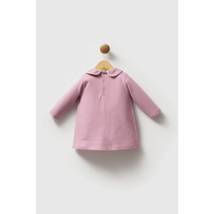 Luz&Pos U.s. Polo Assn Elbise Usb2740 Gül Kurusu