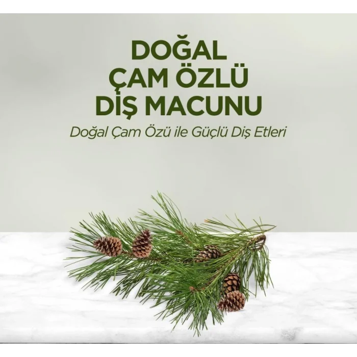 Doğal Diş Macunu 90 Gr Çam Özlü