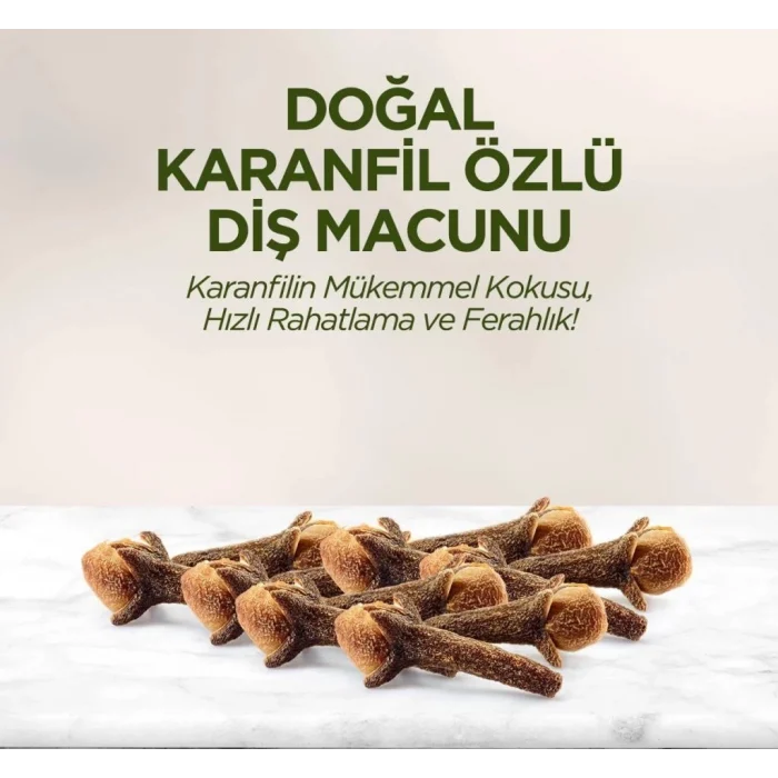 Doğal Diş Macunu 90 Gr Karanfil