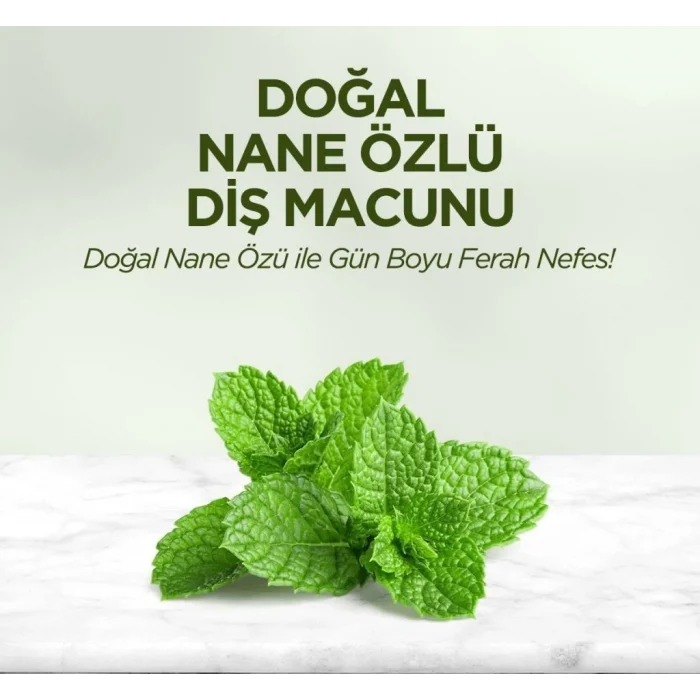 Doğal Diş Macunu 90 Gr Nane Özlü
