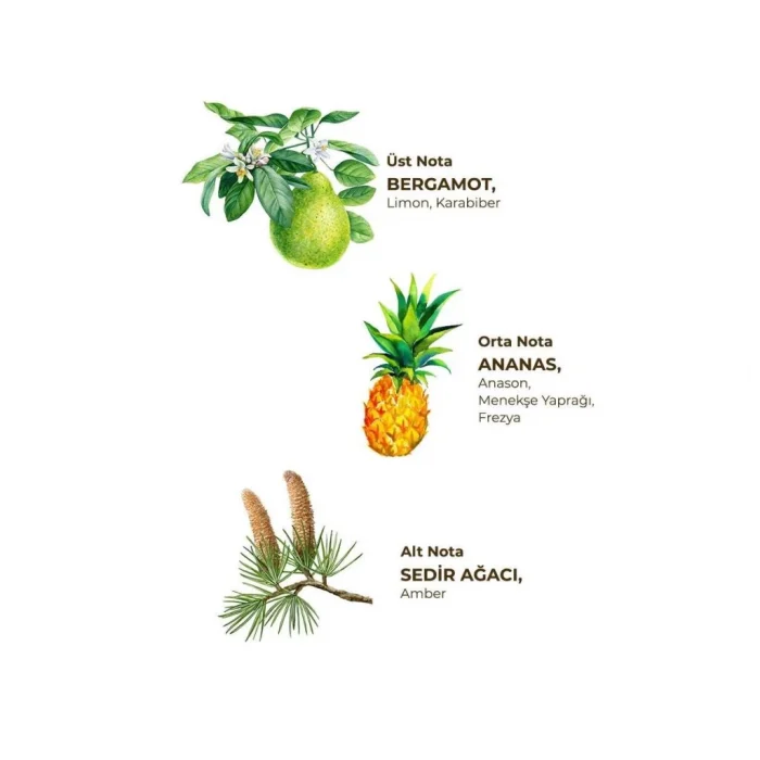 Kolonya Pet Şişe Sprey 150 ml Okyanus