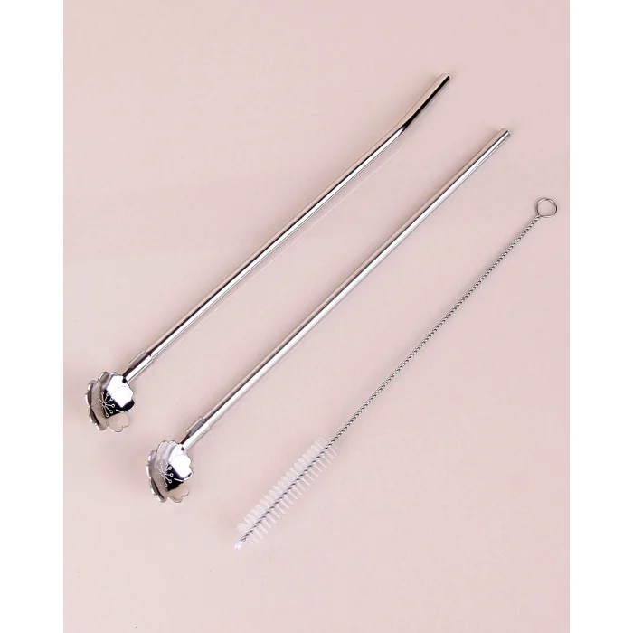 Paslanmaz Metal 2 Li Kaşıklı Pipet Fırça Seti