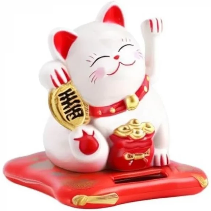 Bereket ve Uğur Getiren Şanslı Kedi