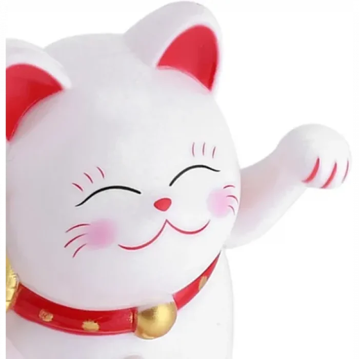 Bereket ve Uğur Getiren Şanslı Kedi