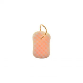 Carelly Banyo Süngeri Cr-1024