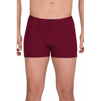 Erkek Modal Boxer Short Bordo 4488B