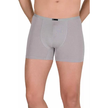 Erkek Modal Boxer Short Gri 4488B