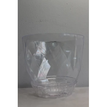 Karasu Yakamoz Orkide Saksı No 3