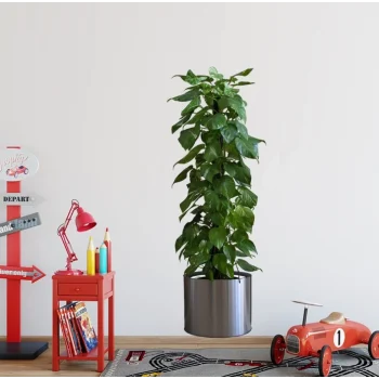 NessiWorld Saksılı Bitki Tasarımlı Yapışkanlı Sticker Resim 90*30 cm MC-665