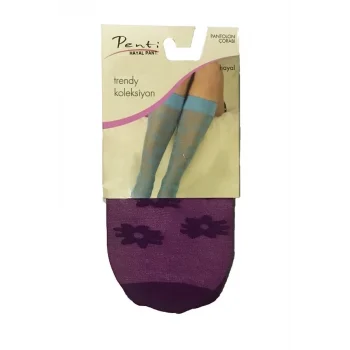 Penti Kadın Hayal Pantolon Çorabı