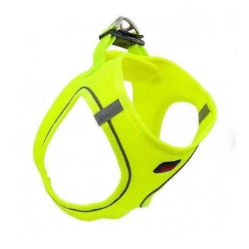 Tailpetz Air Mesh Köpek Göğüs Tasması XSmall 32x36 cm Neon Lime
