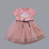 Luz&Pos 1-2-3 Yaş Tül Tokalı Bulut Civciv Ve Yıldız Nakışlı Kız Bebek Elbisesi Gül Kurusu