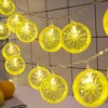 2m 10 Led Pilli Limon Işık