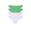 4 adet Eko Set Likralı Kadın Slip Külot Yeşil Beyaz