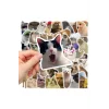 Çılgın Kediler Macbook Notebook Tablet Telefon Ajanda Laptop Defter Sticker Seti