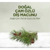 Doğal Diş Macunu 90 Gr Çam Özlü