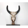 Duvara Asmalı Bufalo Kafası