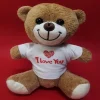 I Love You Tişörtlü Ayı