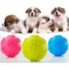 Pati Desenli Dayanıklı Köpek Isırma Topu